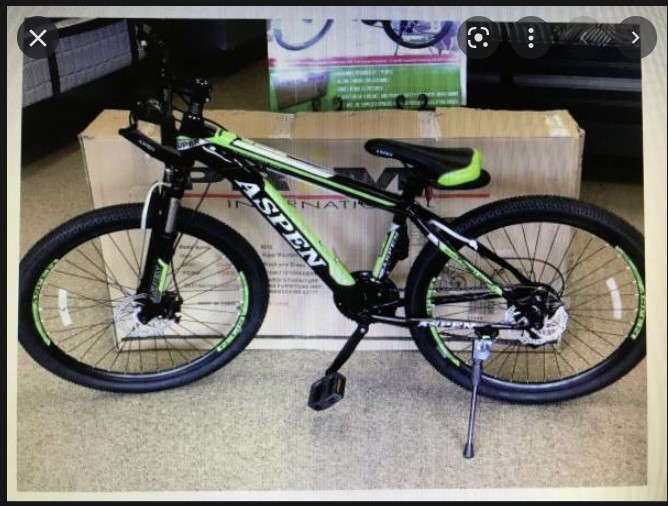 Aspen Mountain Bike
