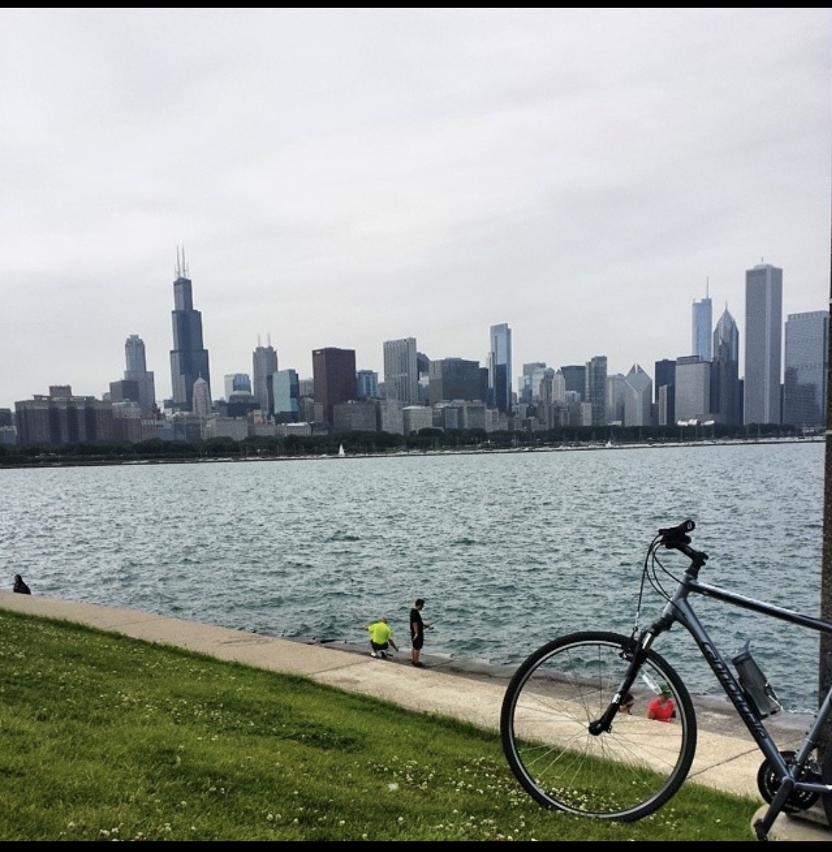 Cannondale Quick