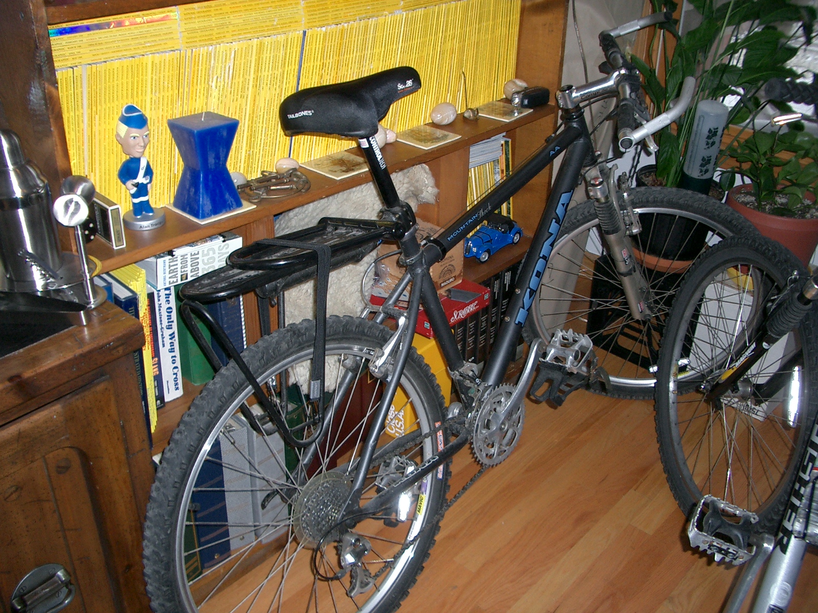 Kona Mountain Bike