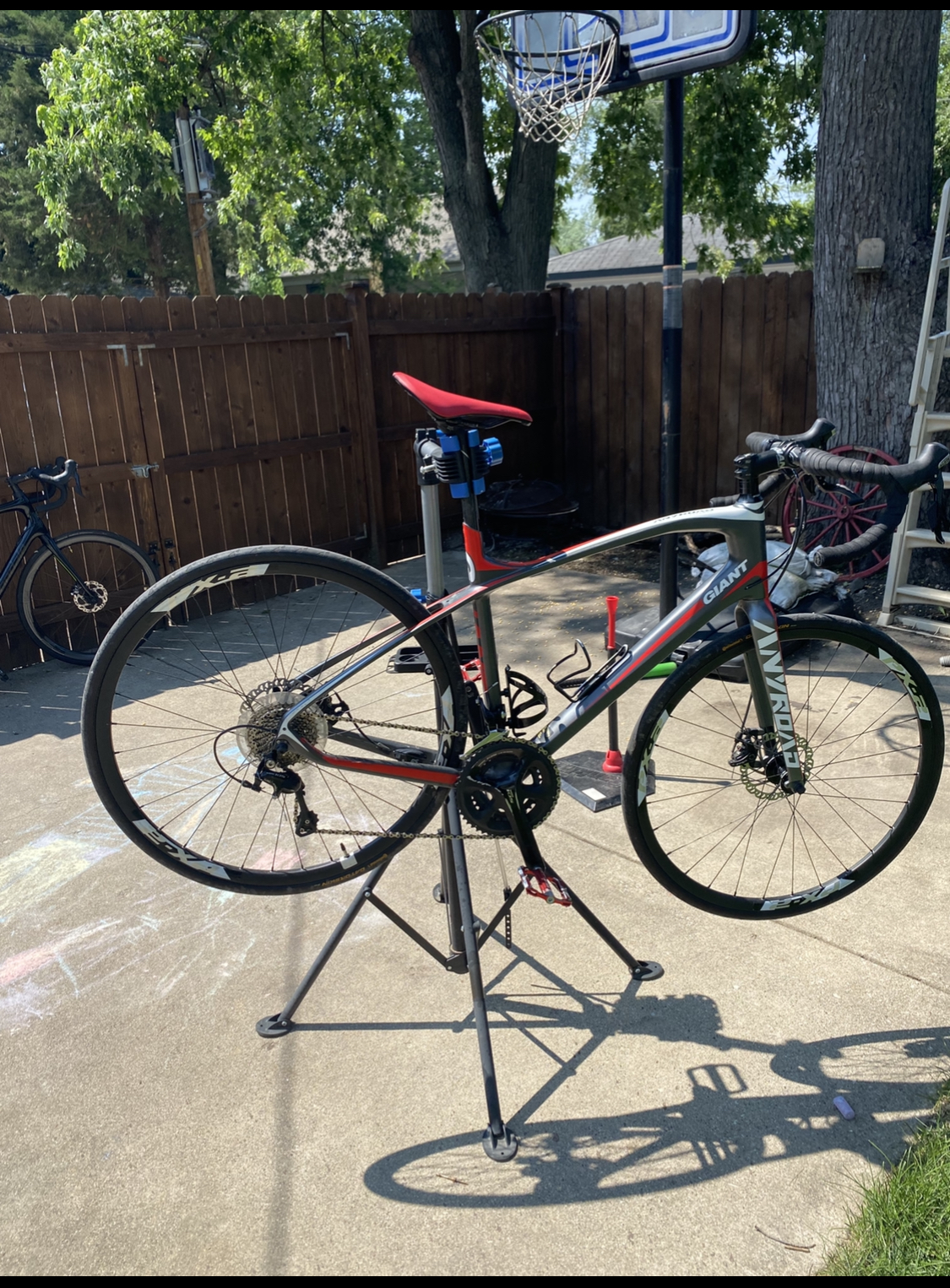 Giant AnyRoad CoMax
