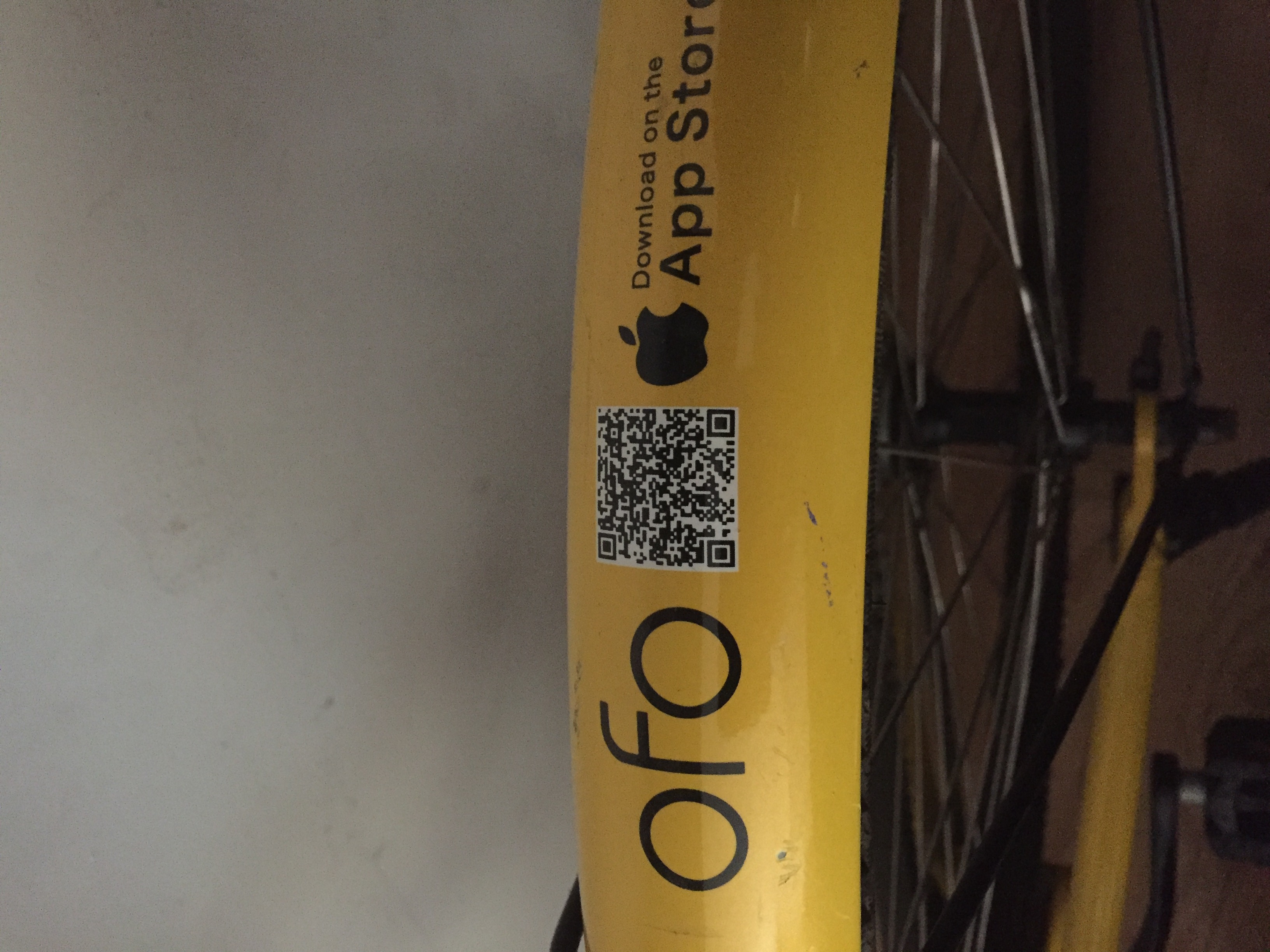 Ofo 