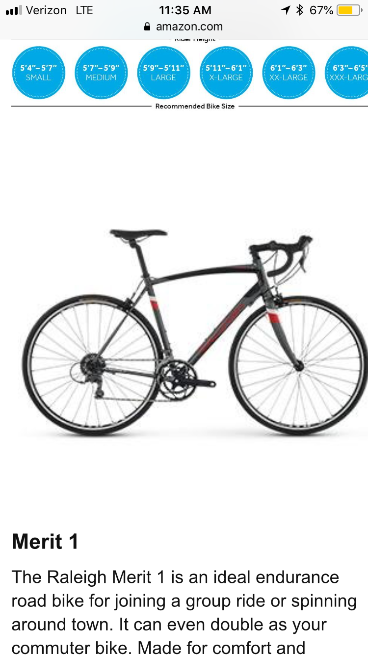 Raleigh merit 1