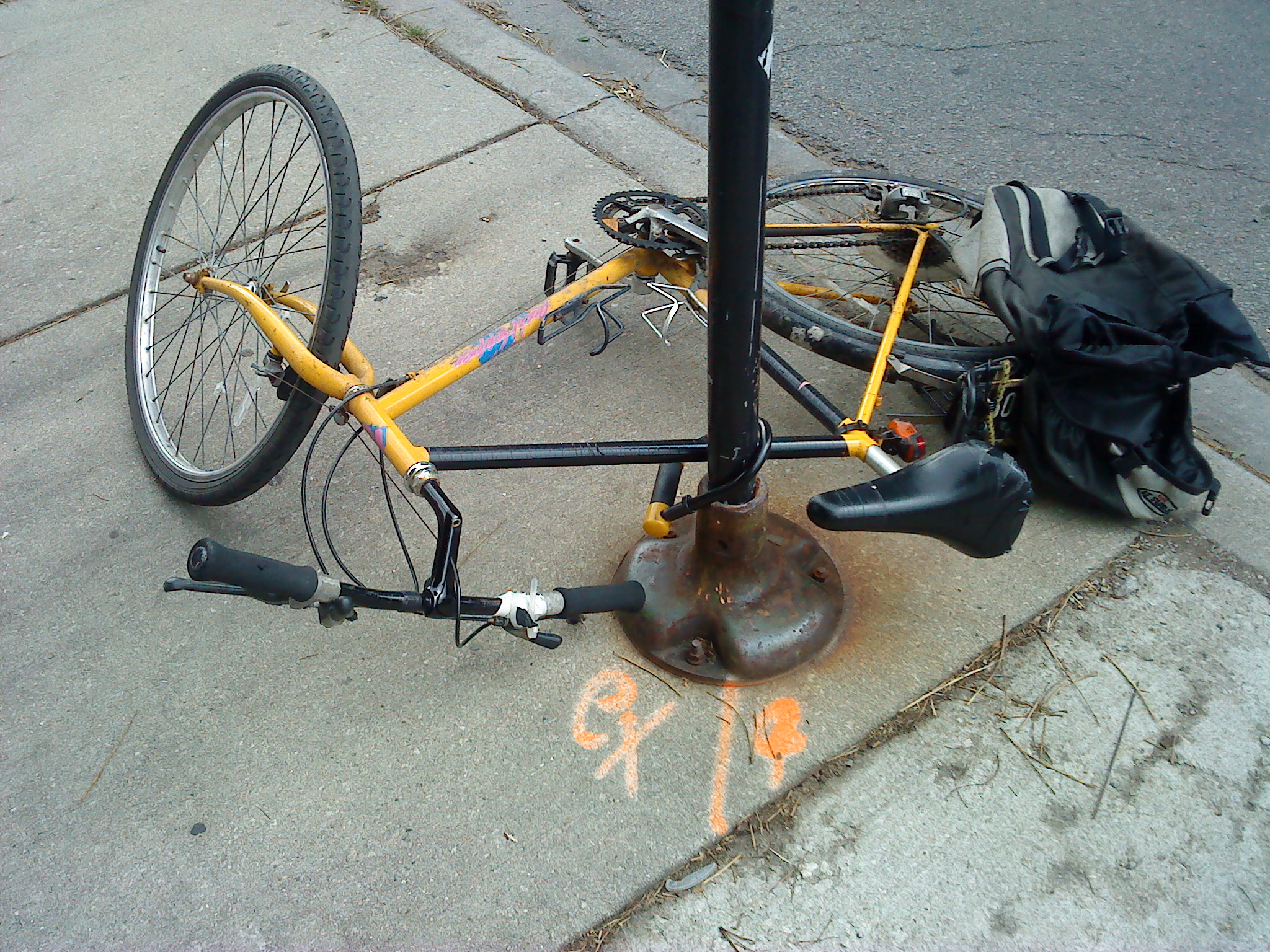 TransIT Saddle Bag, Rear Cargo Rack, and Wald Folding Rack