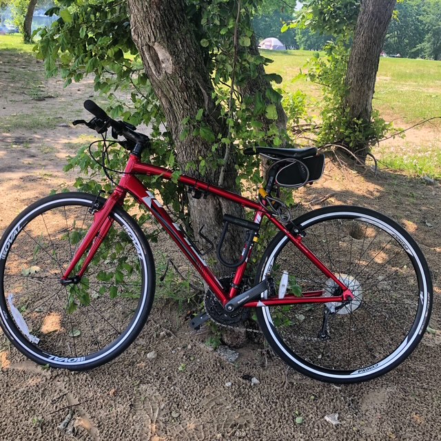 2013 Fuji Absolute 1.4 