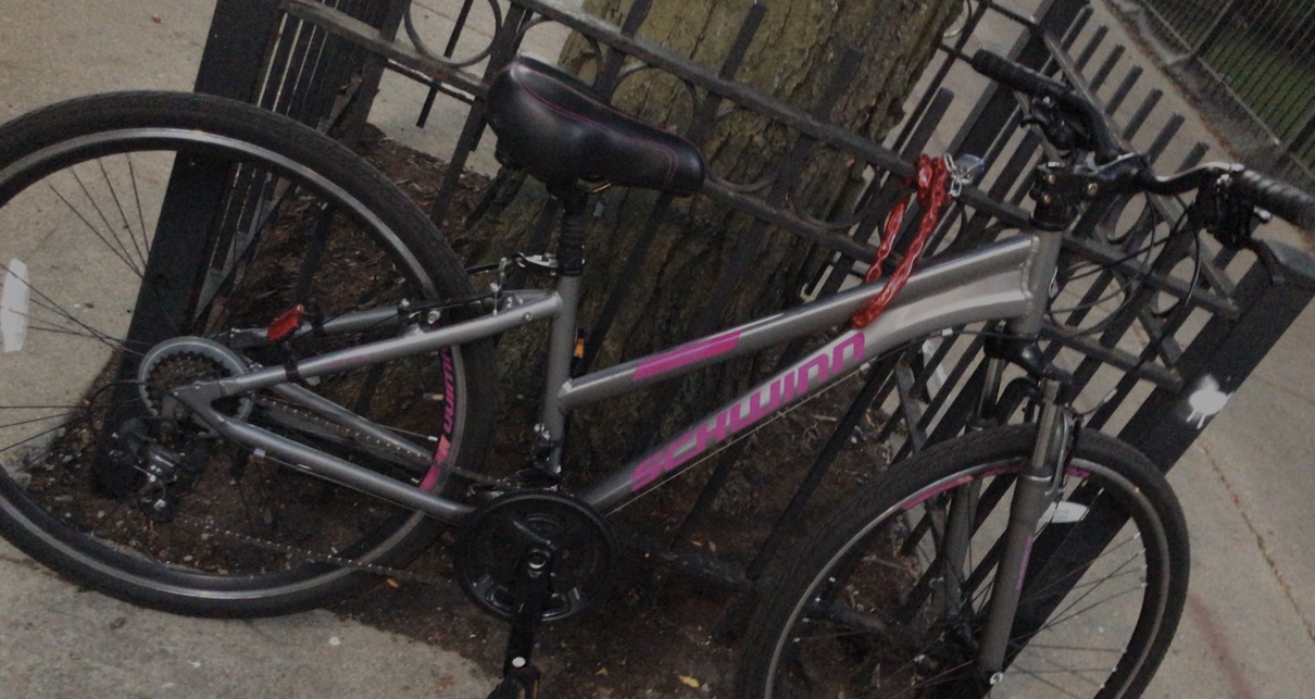 Schwann m/ trail way 700c/grey and pink