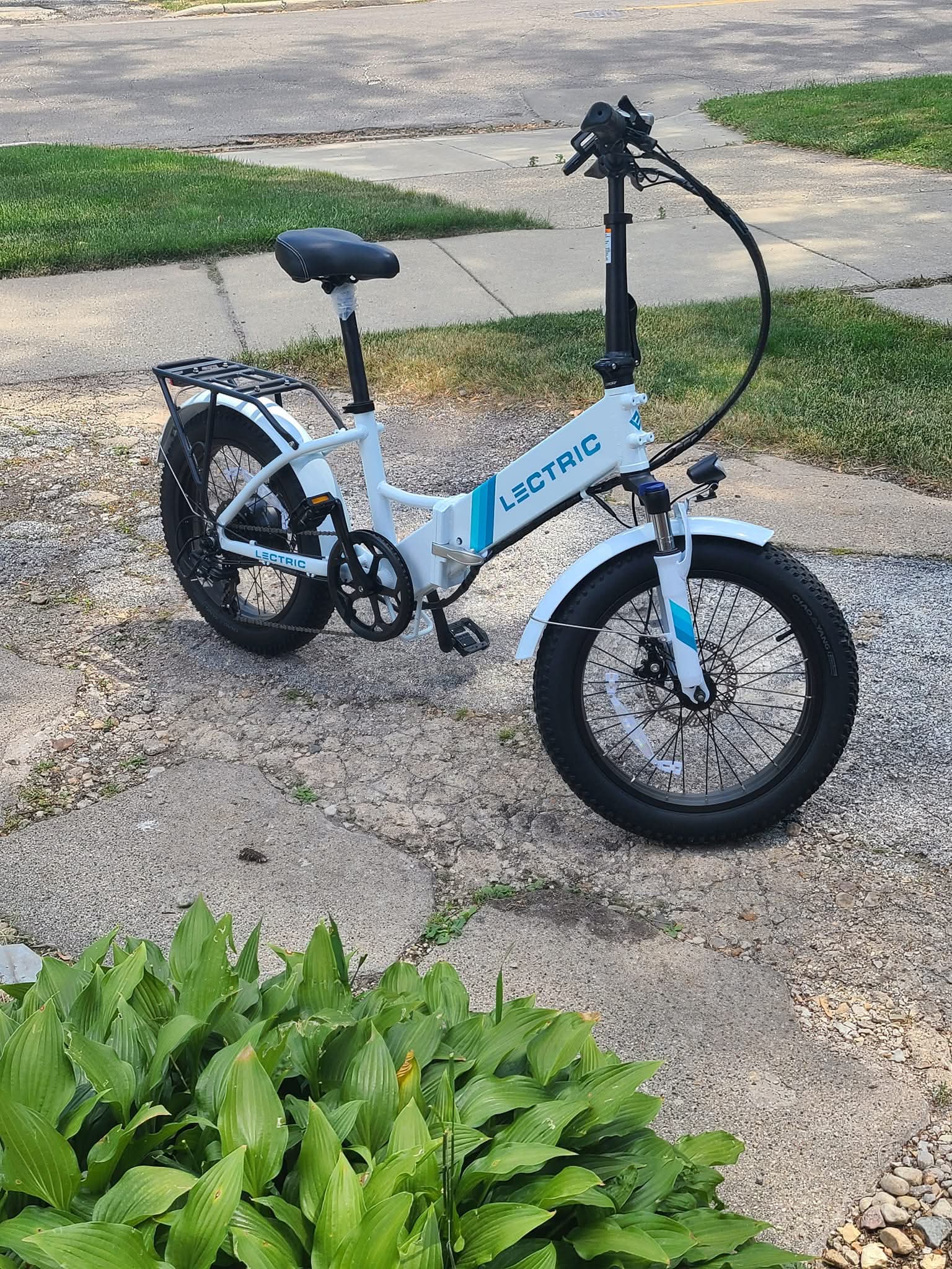 Lectric bike