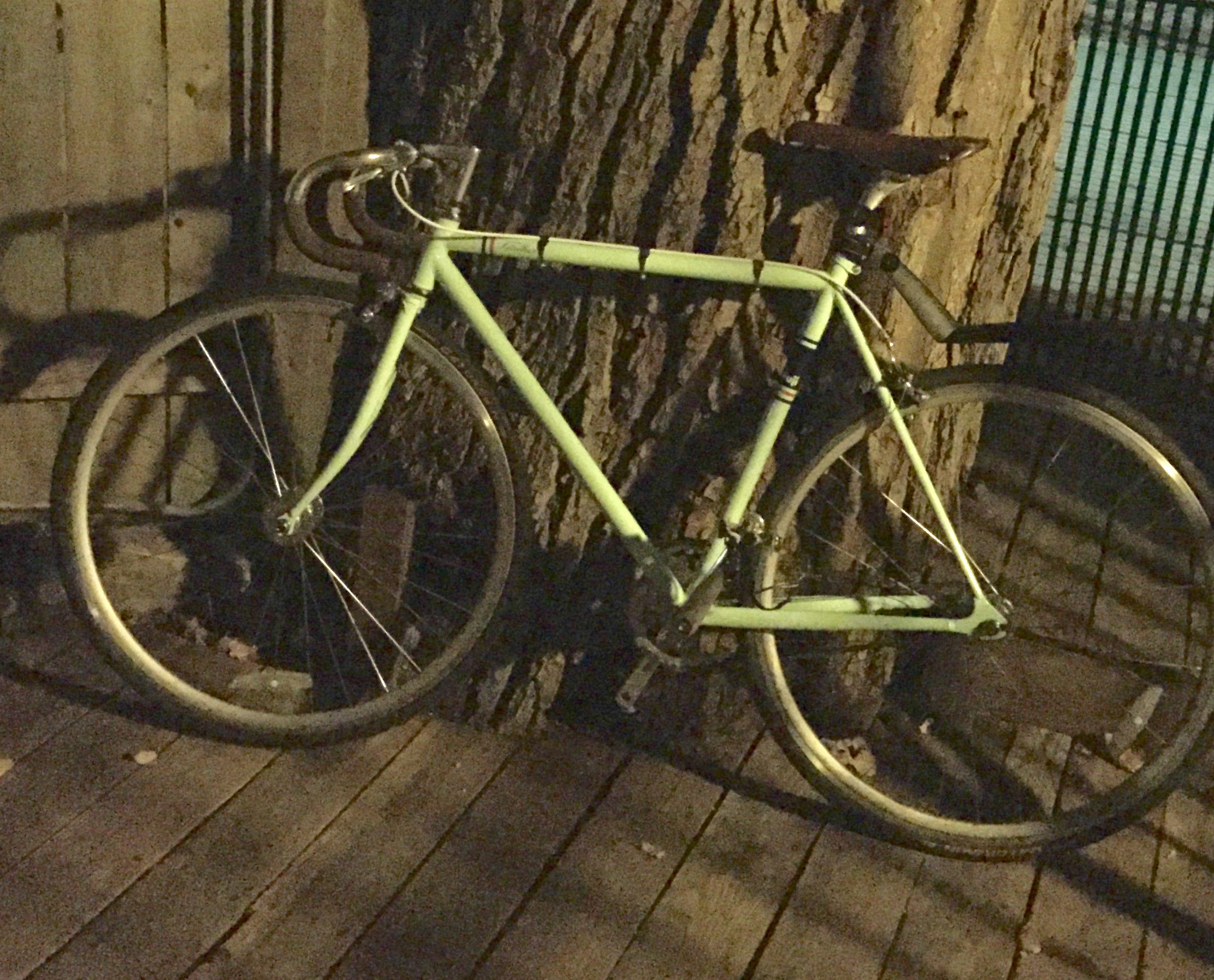 2014 Fuji Feather