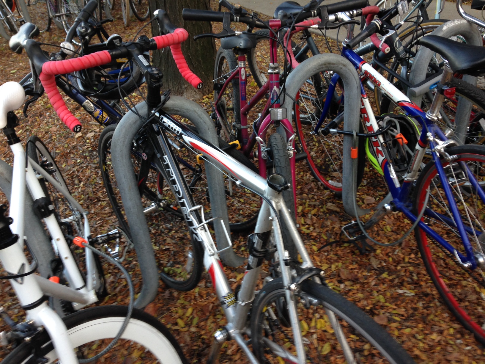 RECOVERED - Trek Road Bike