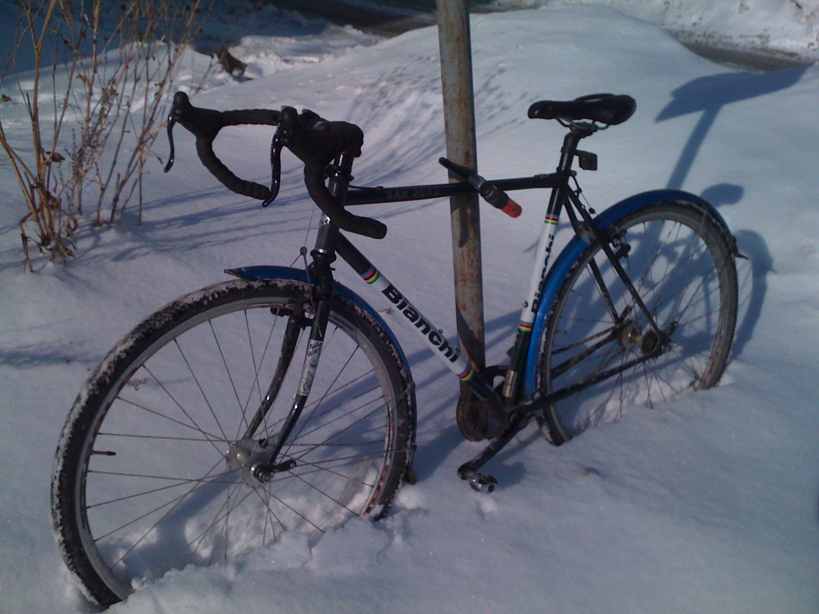 Bianchi San Jose 2008