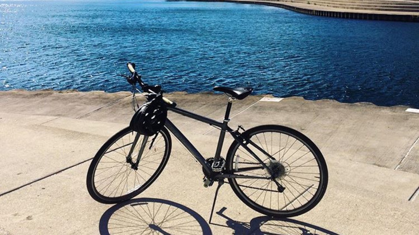 Trek 7.3 FX 