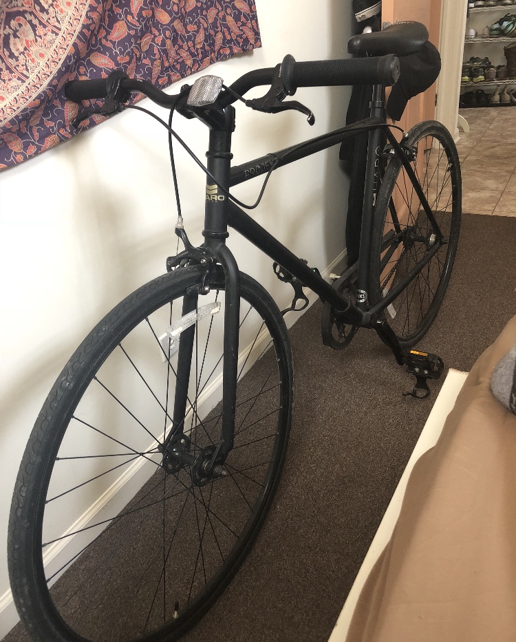Haro Projekt