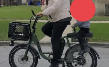 RadRunner 1 Electric Utility Bike
