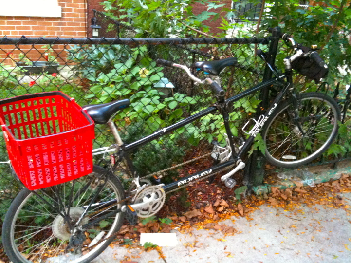 Burley Tandem