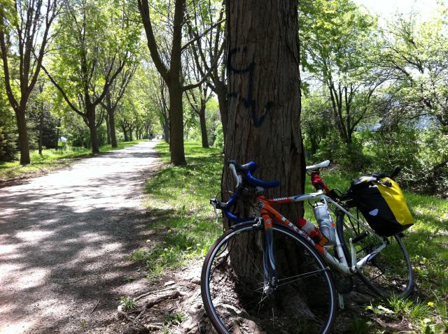 trek 1000