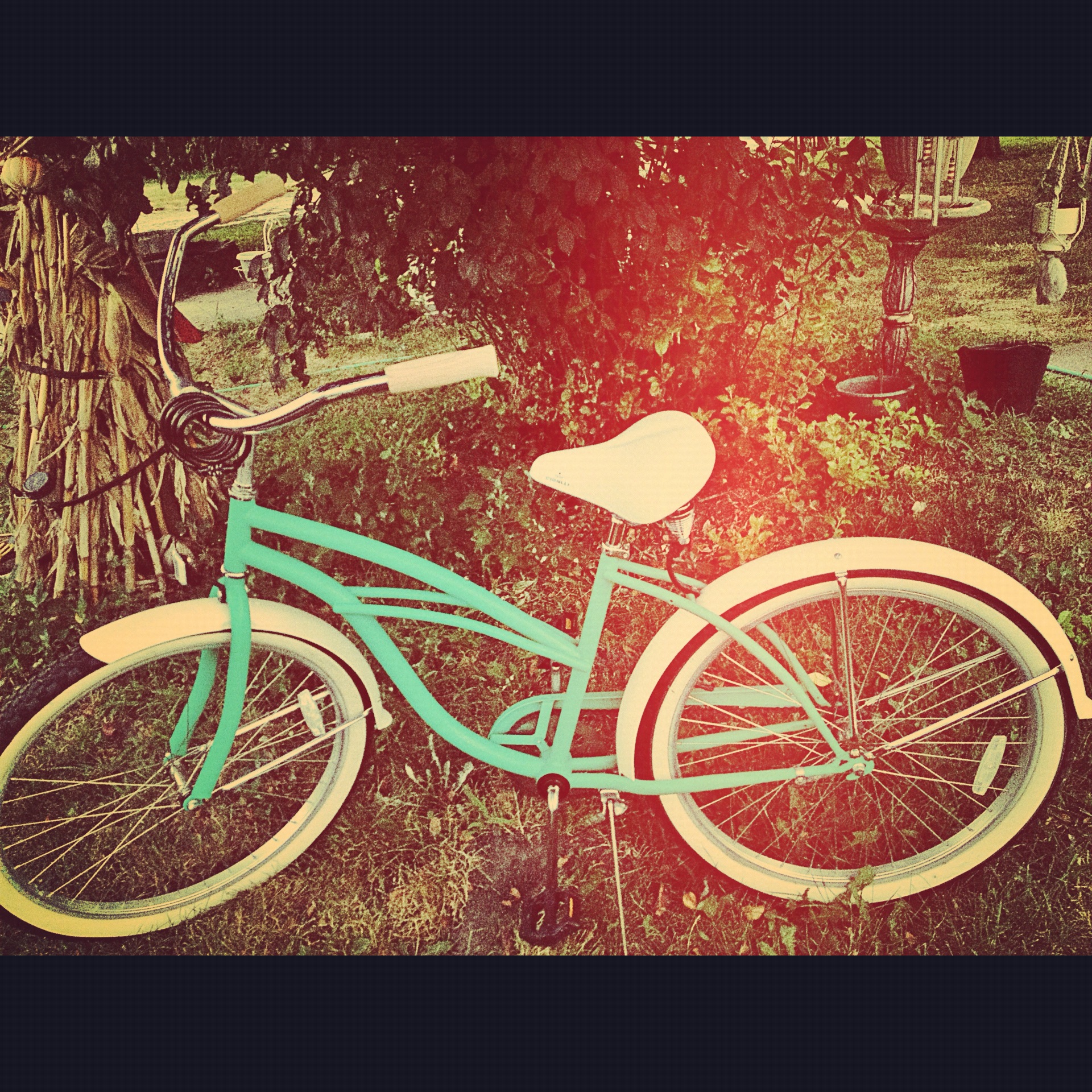Chubby's Beach Cruiser