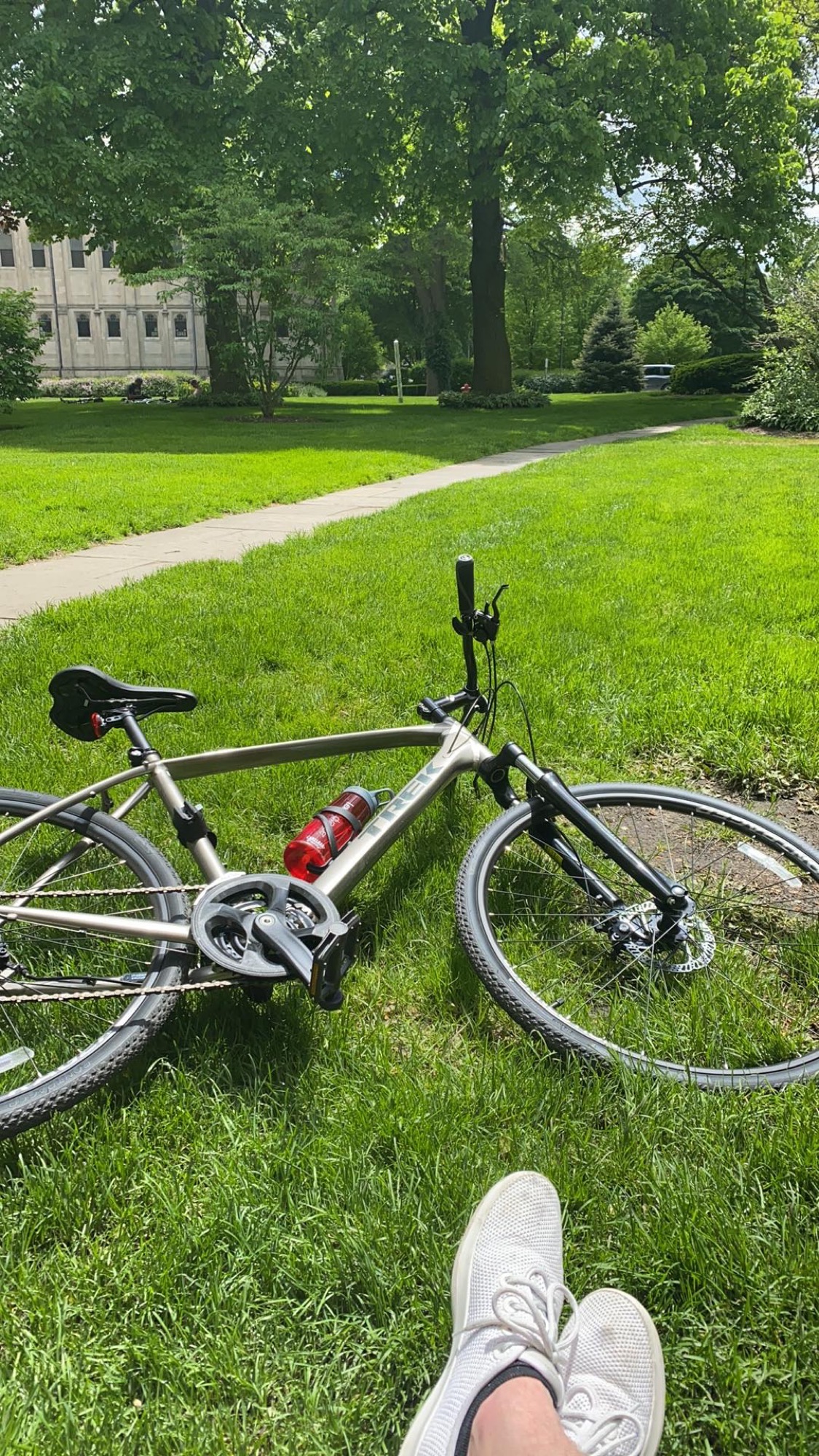Trek Dual Sport 1 (2020)