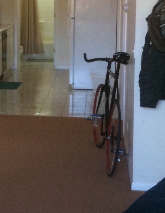 Pake Steel Track Frame with Surly components, fixed gear