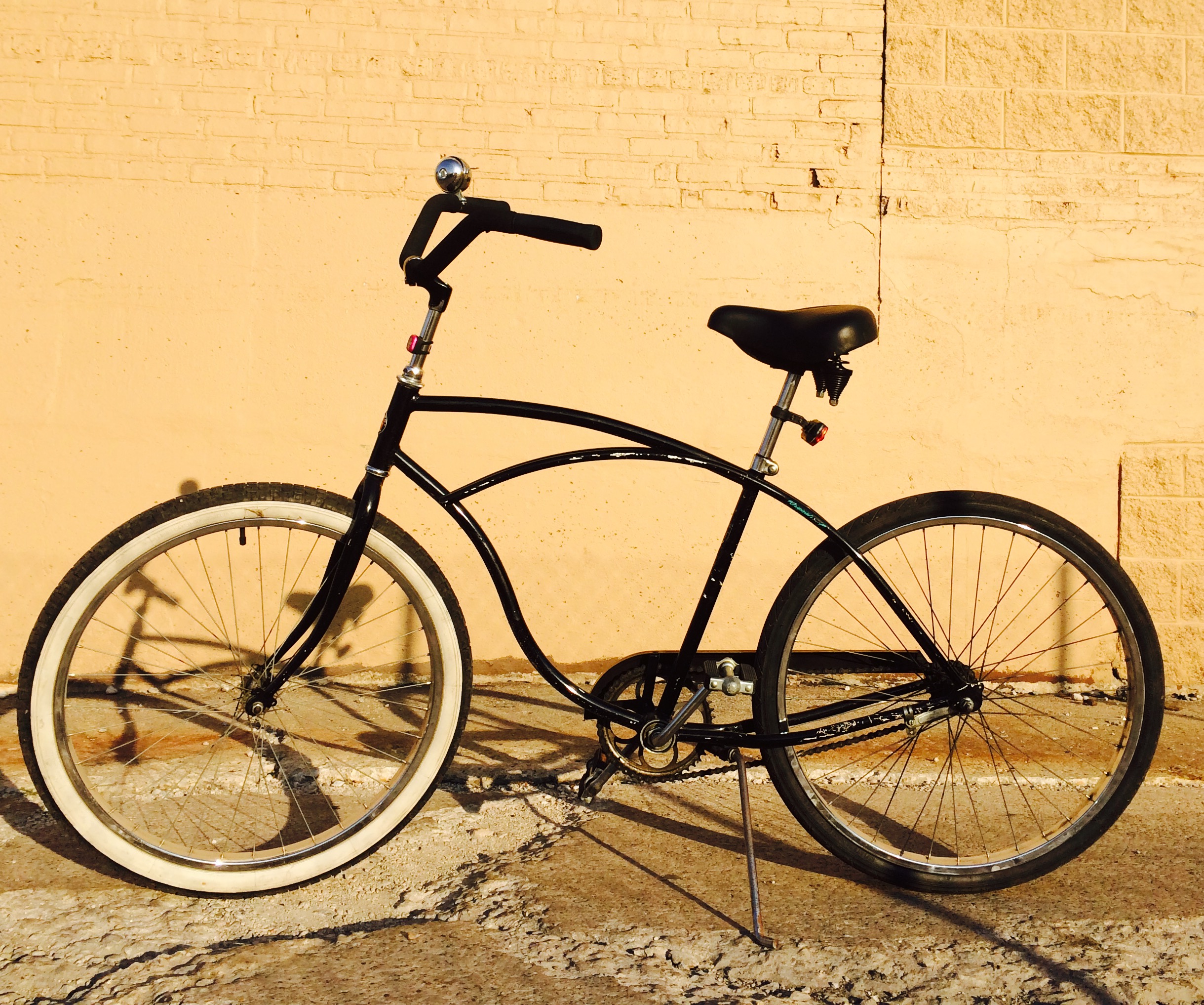 Schwinn Cruiser