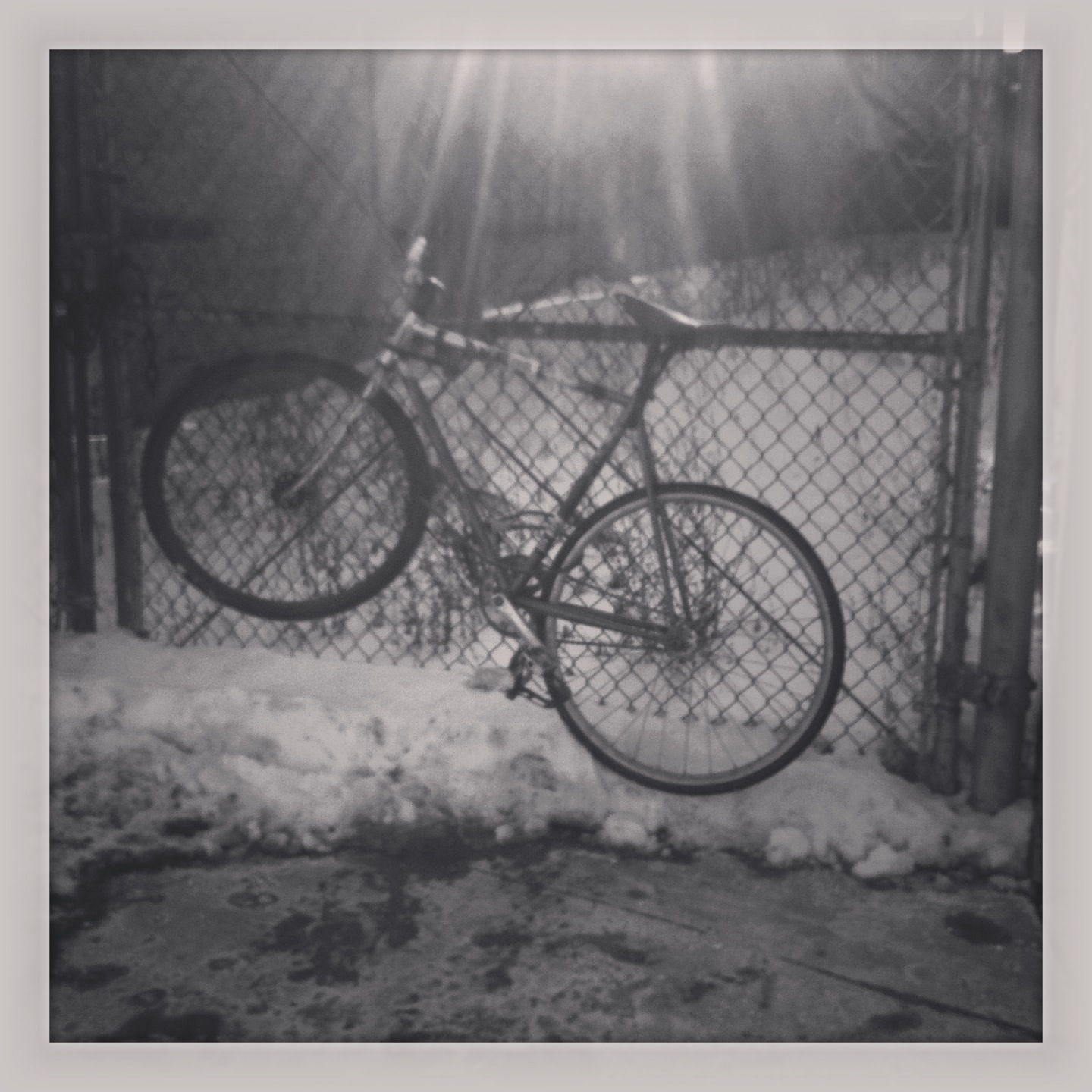 Brooks b17 (Green) , CInelli Pepper Risers, Cinelli Ant Stem (Parts Theft)