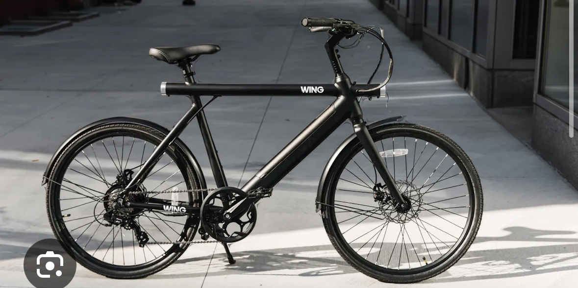 WING Back Ebike