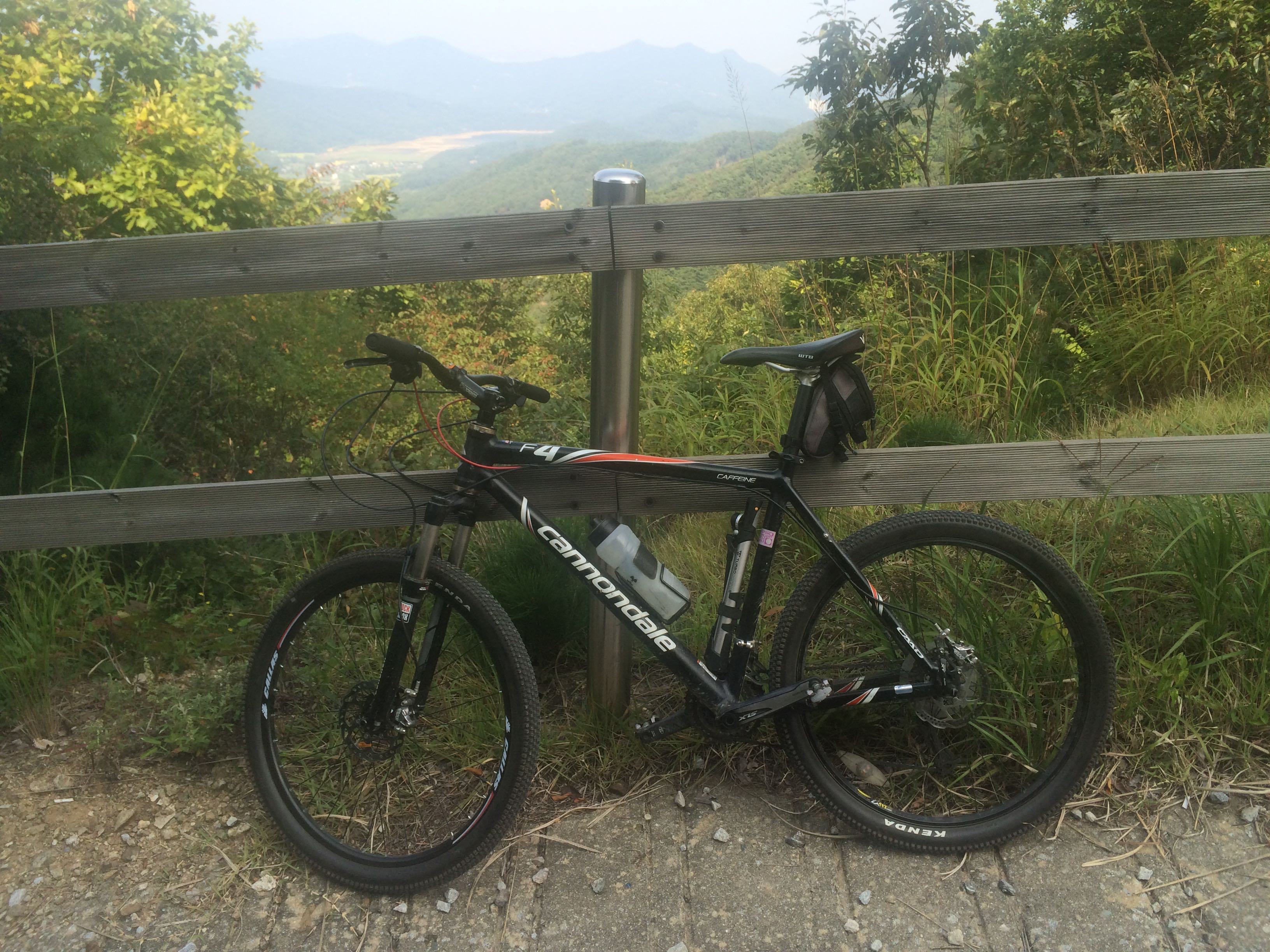 Cannondale F4 Caffeine