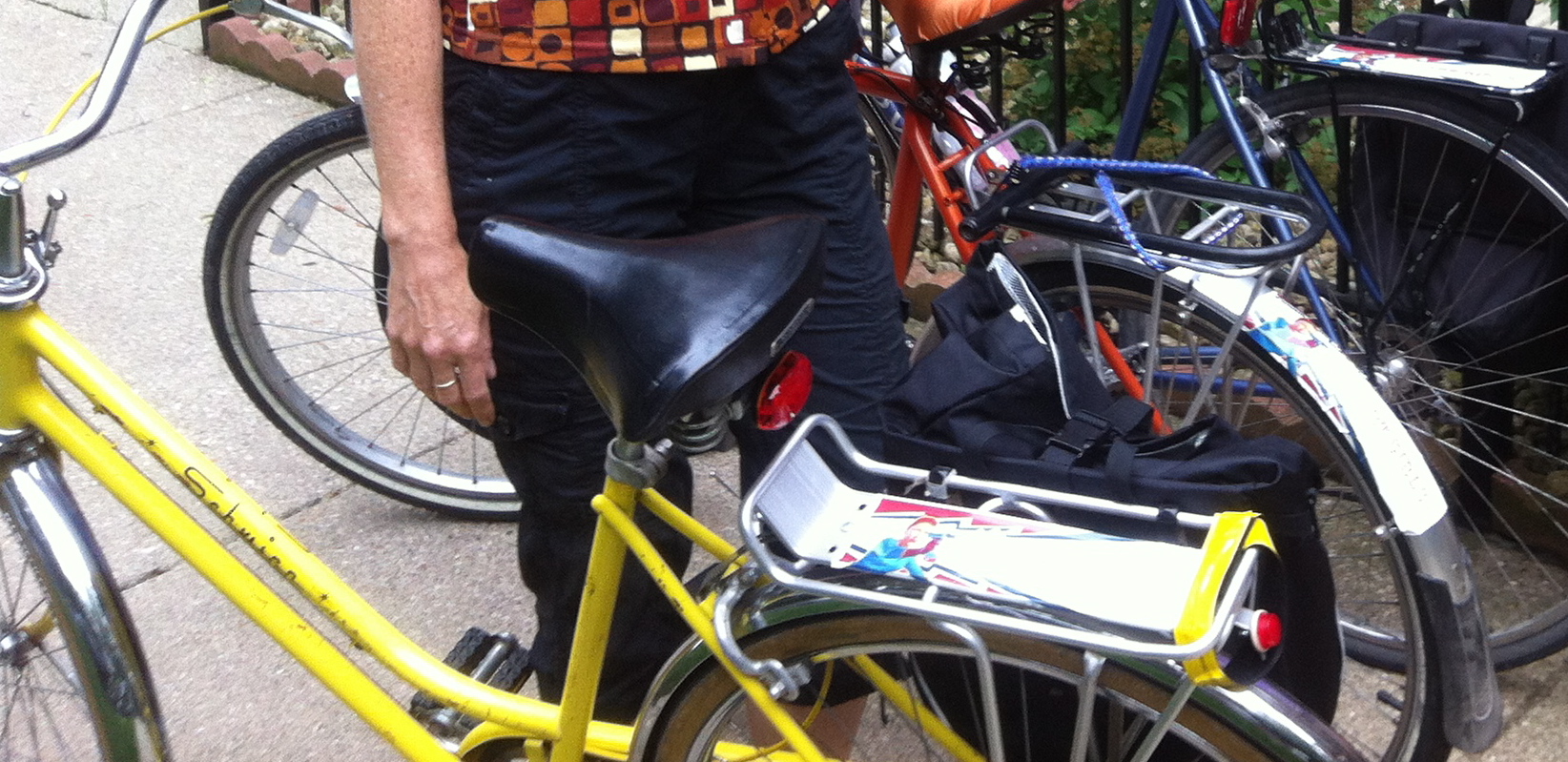 Schwinn Collegiate 