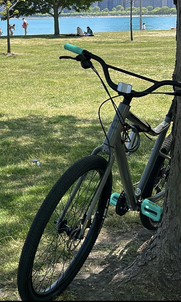Cannondale