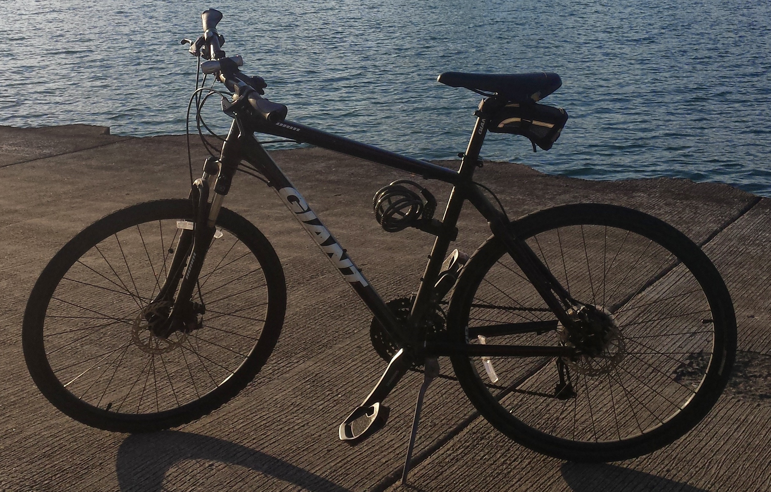 Giant Roam 1 (2012)