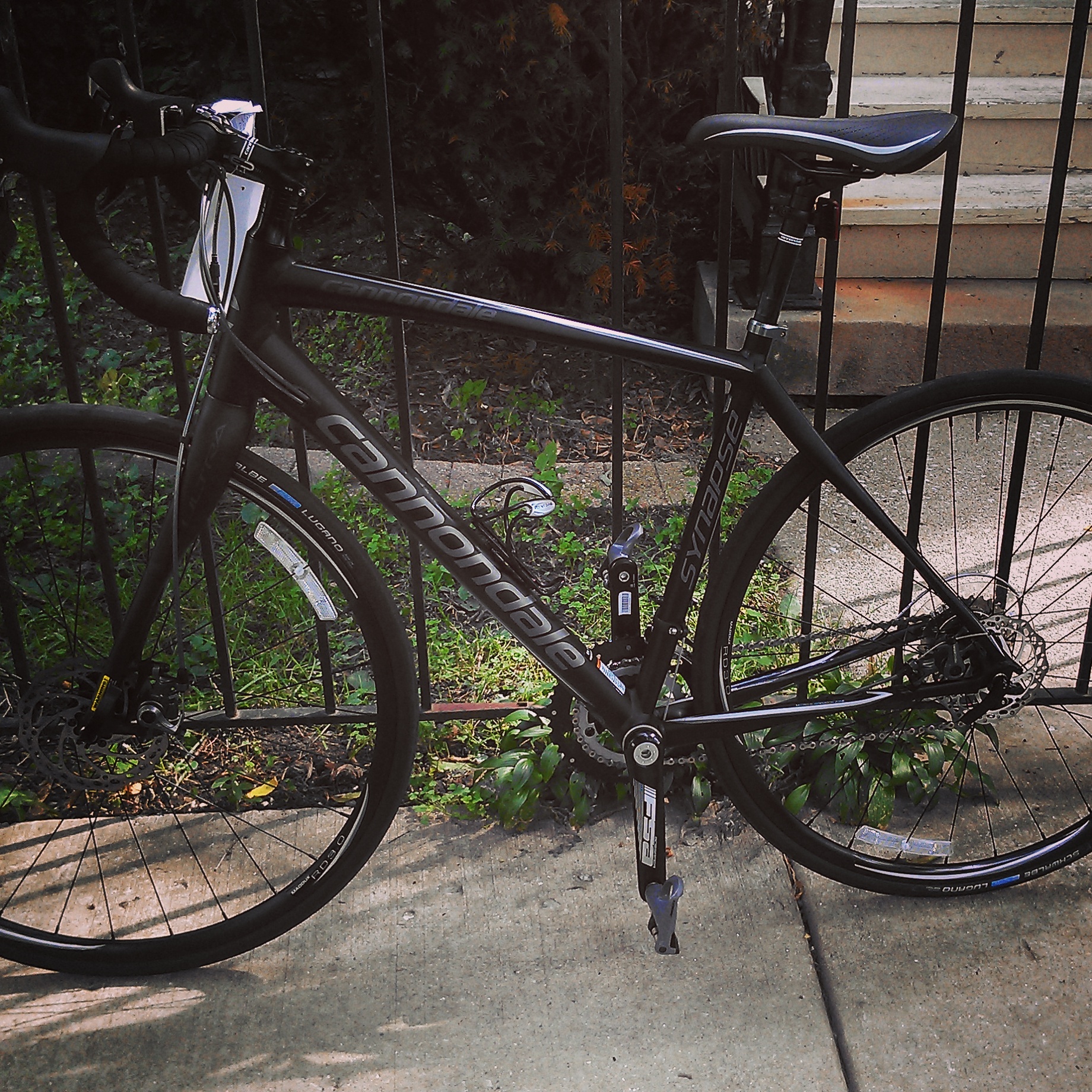 Cannondale Synapse Disc 5