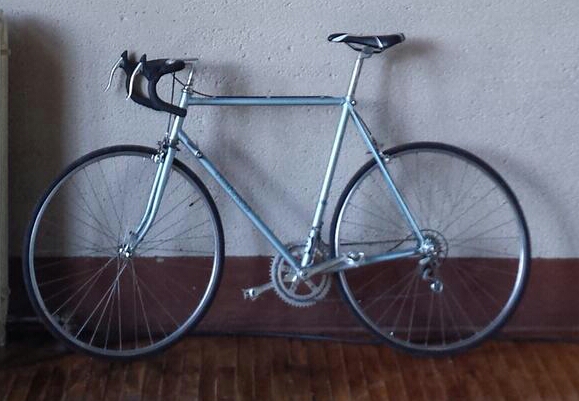 Schwinn 