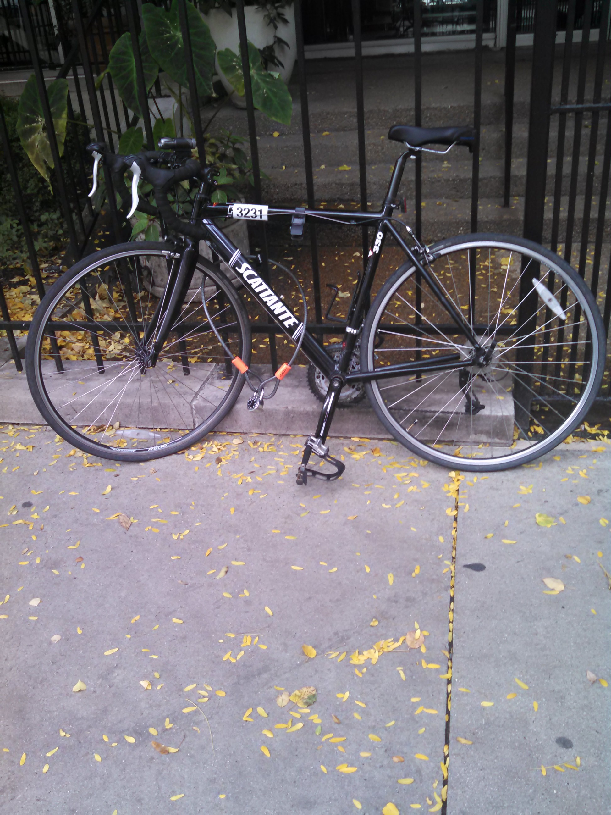 2010 Scattante R-330 Road Bike
