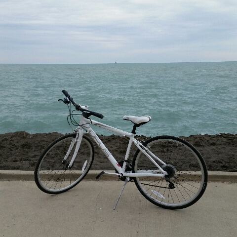 white and silver Opus bike 