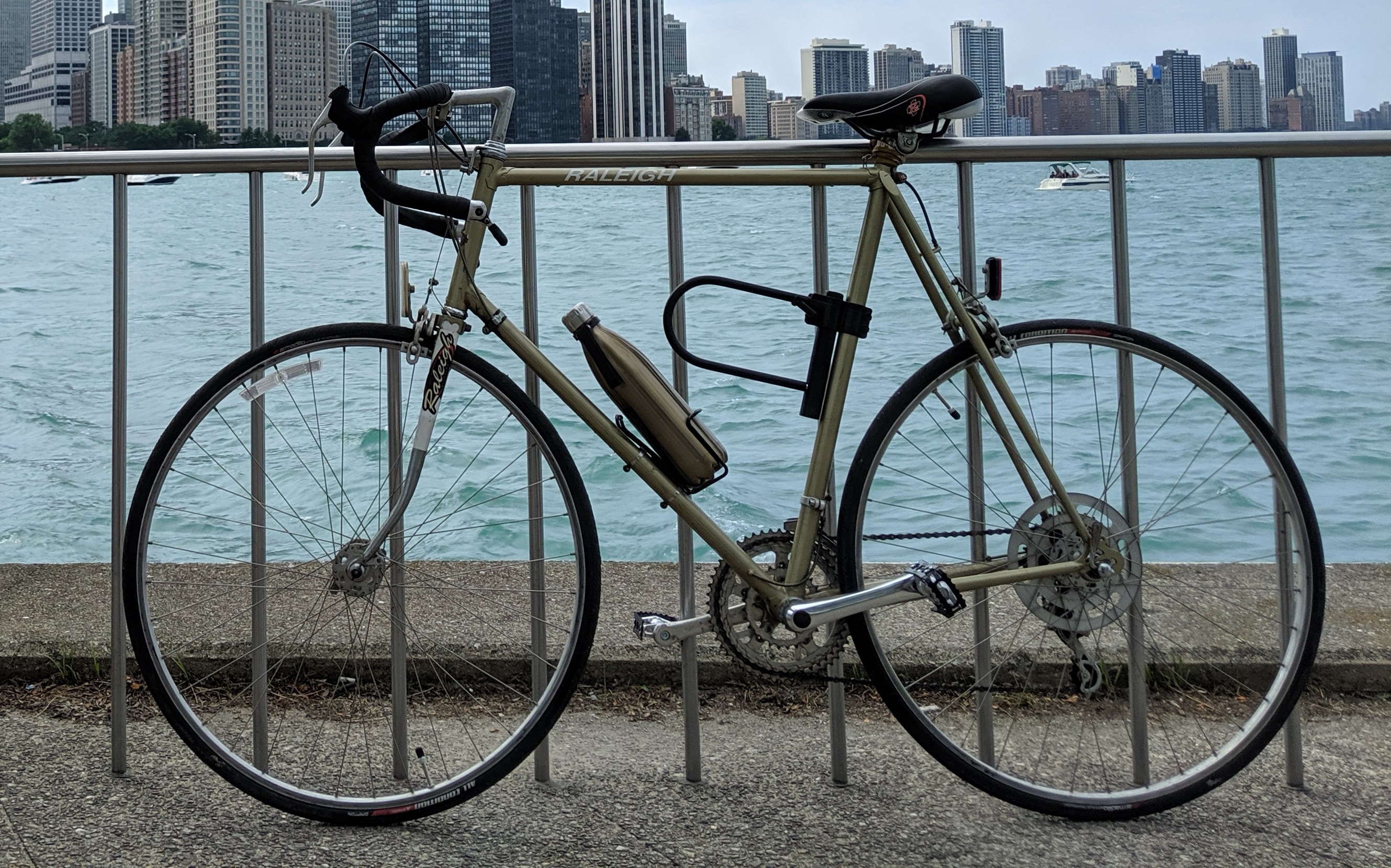 Raleigh Professional (Vinyage 1970s)