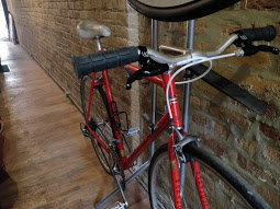 Schwinn Paramount PDG Series 2