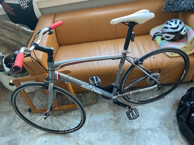 Raleigh Ravenio