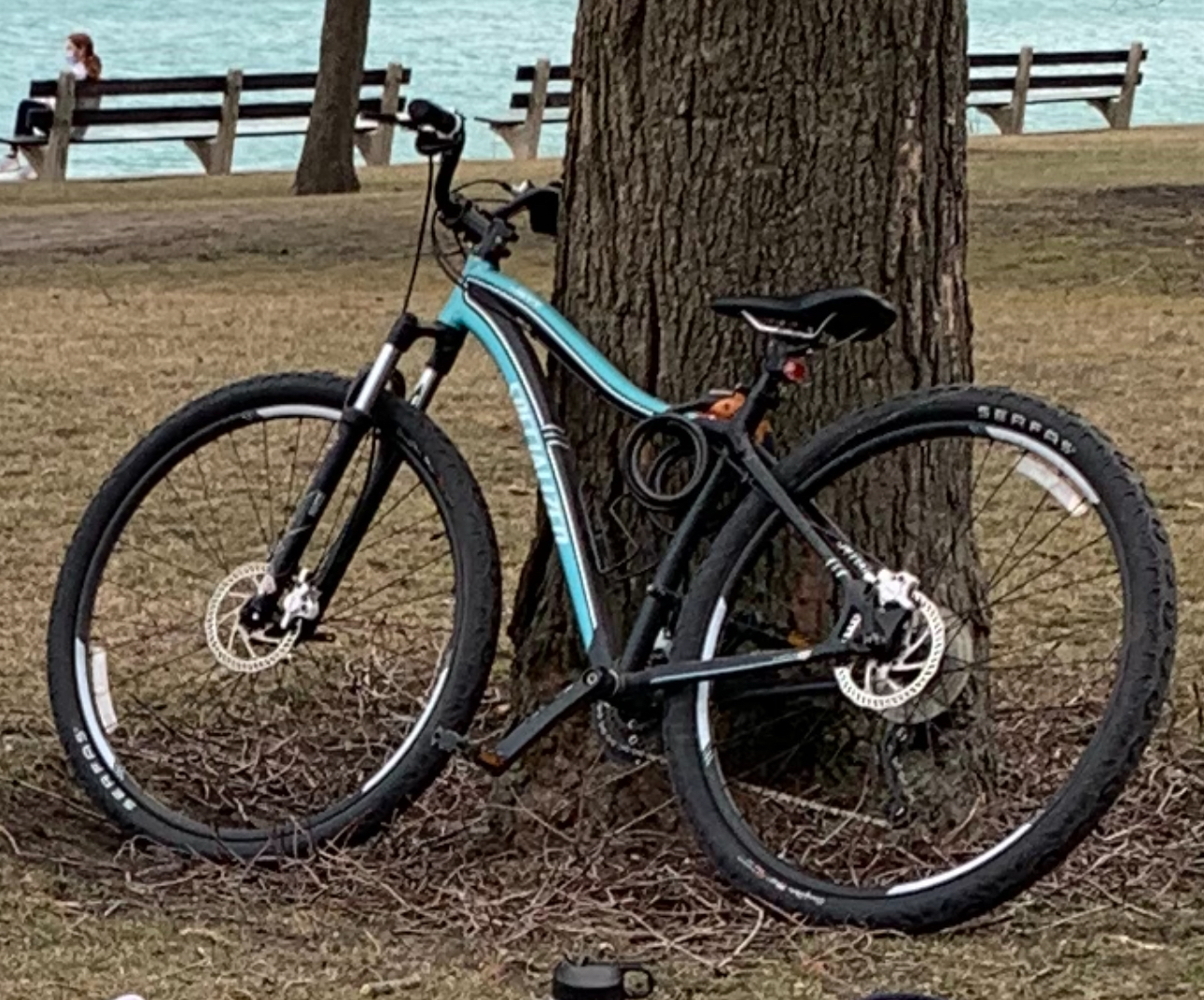 Specialized