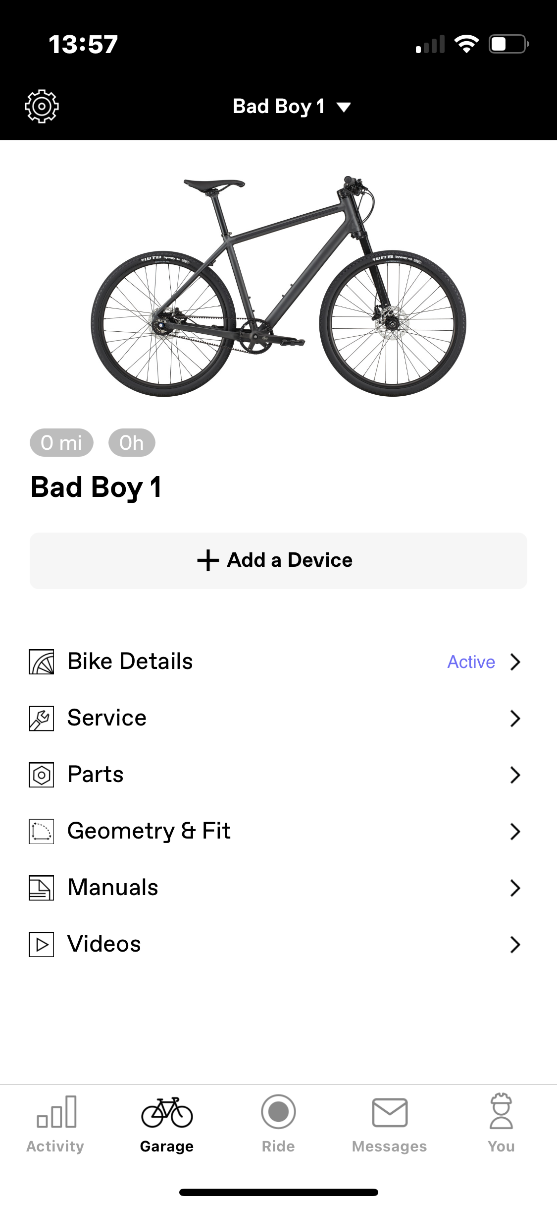 Cannondale Bad Boy 1 belt drive
