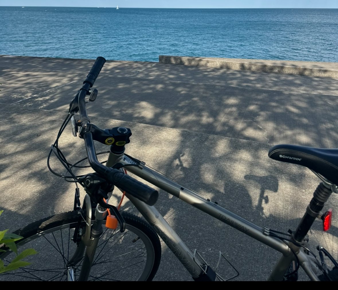 Schwinn