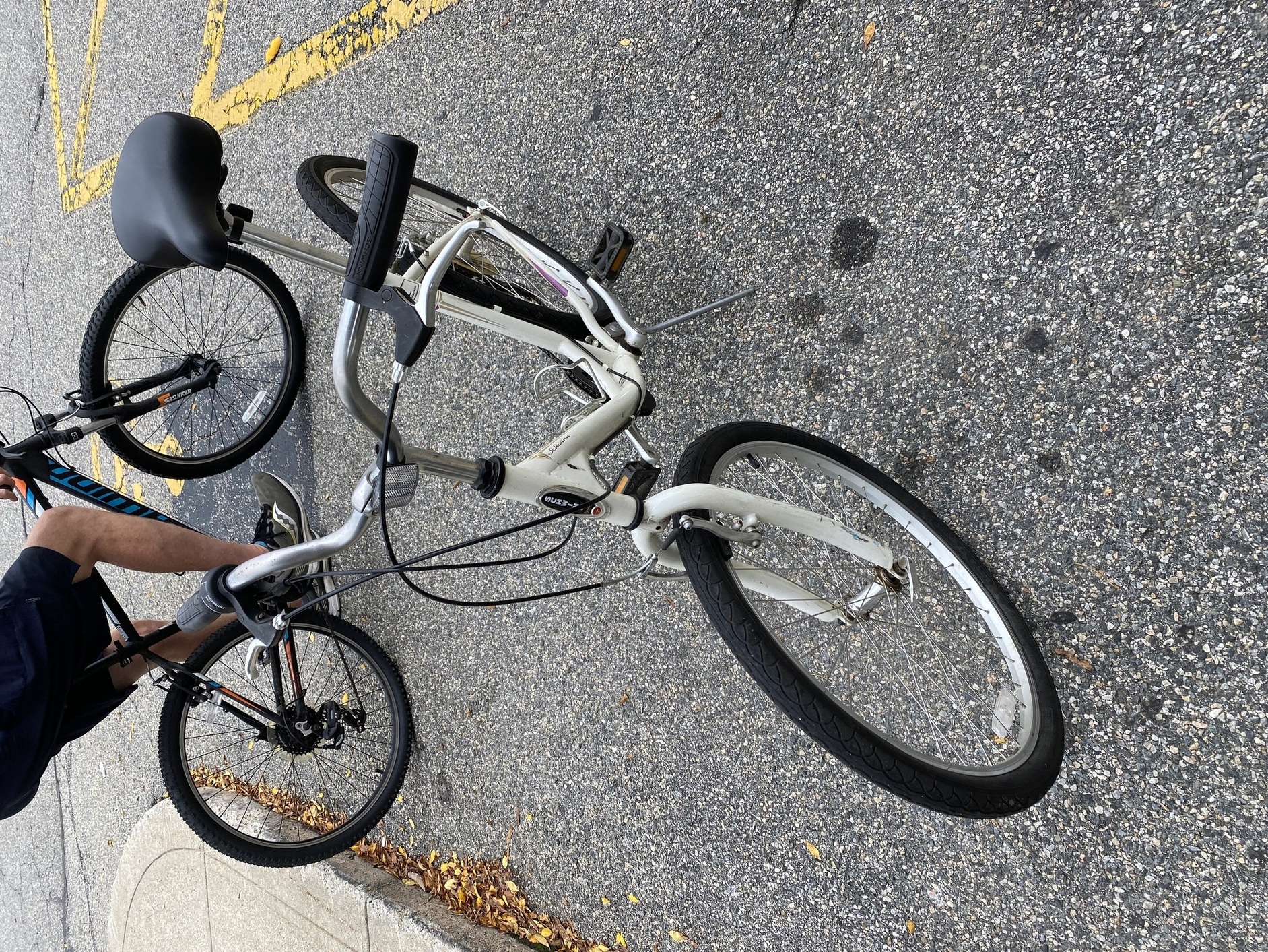 White Schwinn Sierra 2 Step-Thru