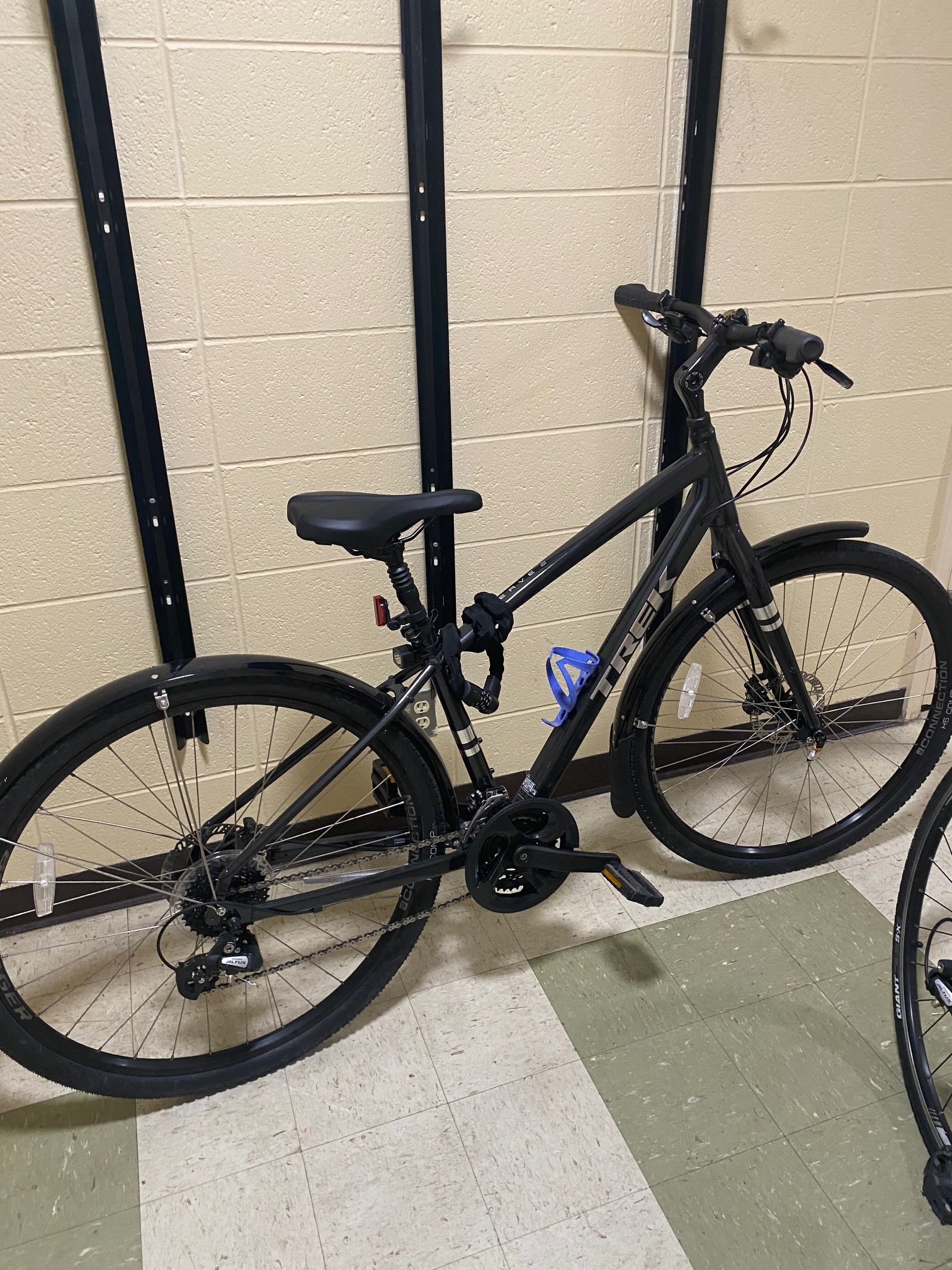 Trek Verve 2 Disc 2021