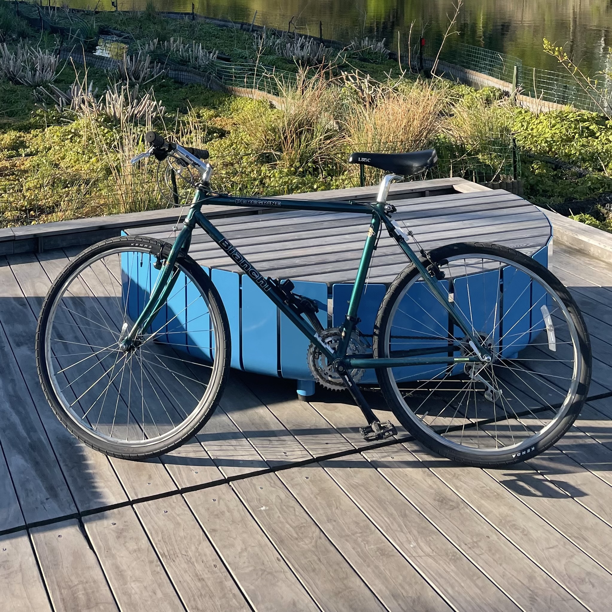 Bianchi Peregrine