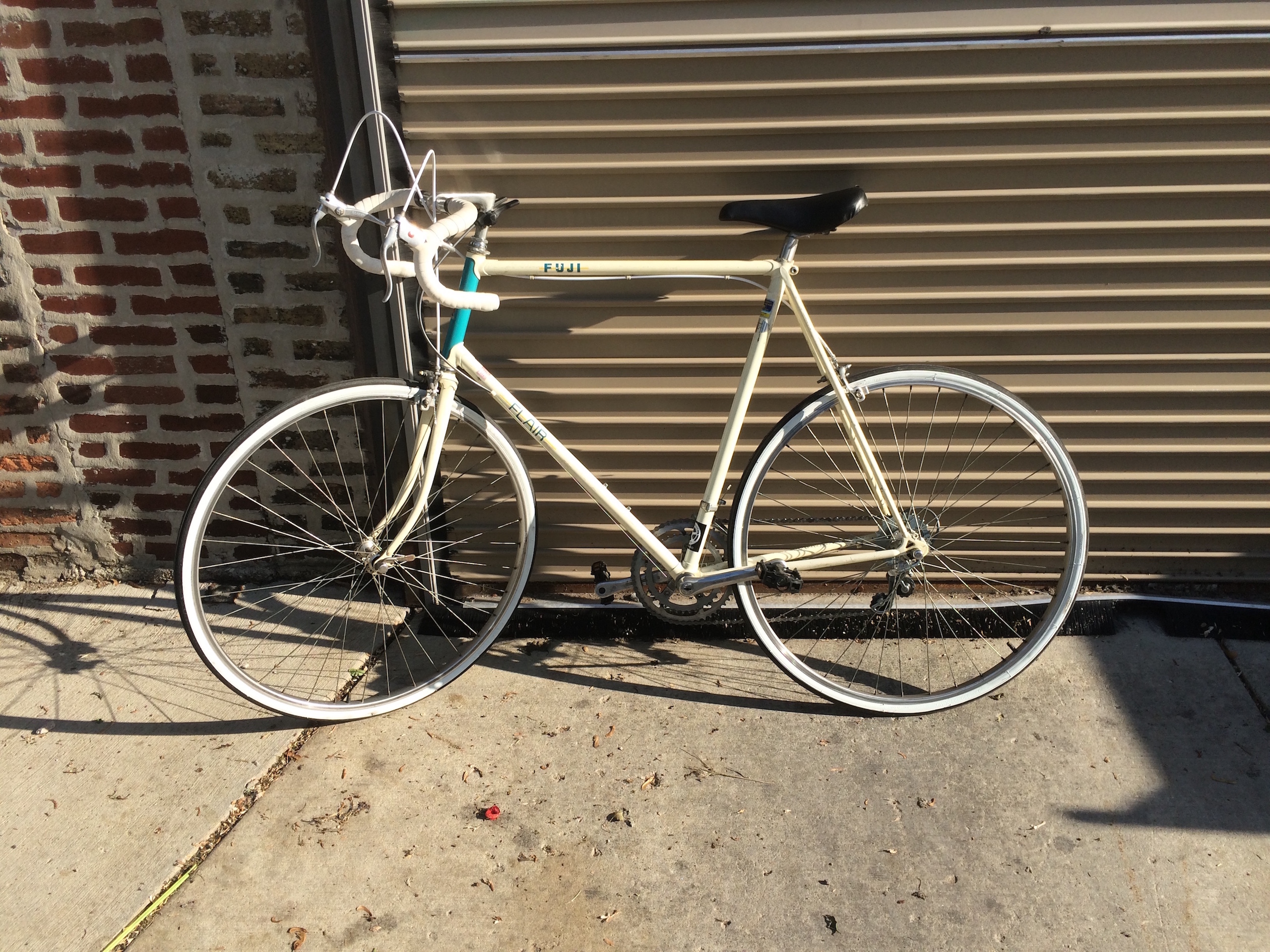 Fuji Flair