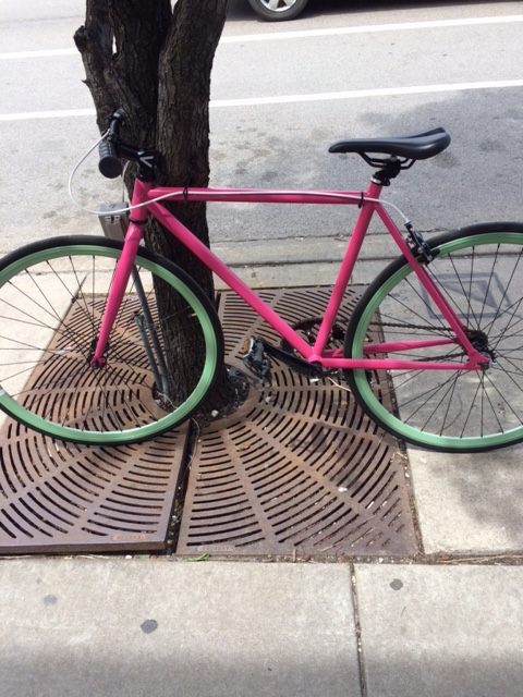 Critical Fixed-Gear/Single-Speed