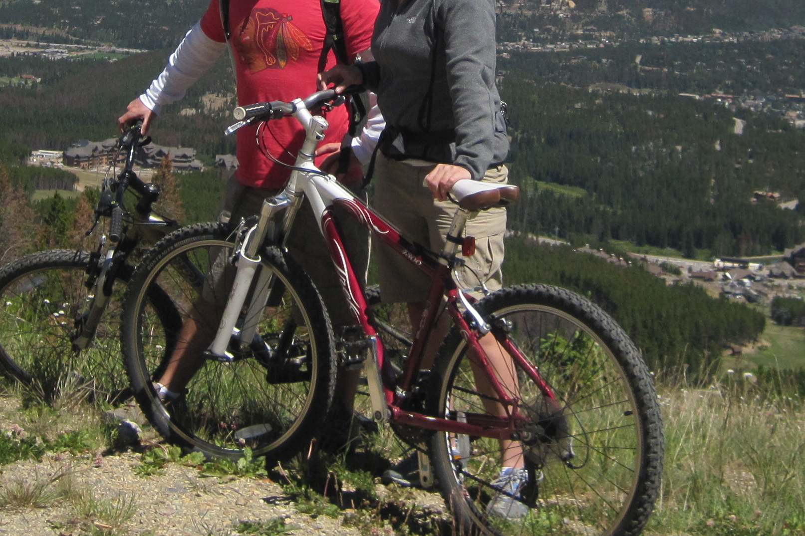 2009 Trek Women's 4300 
