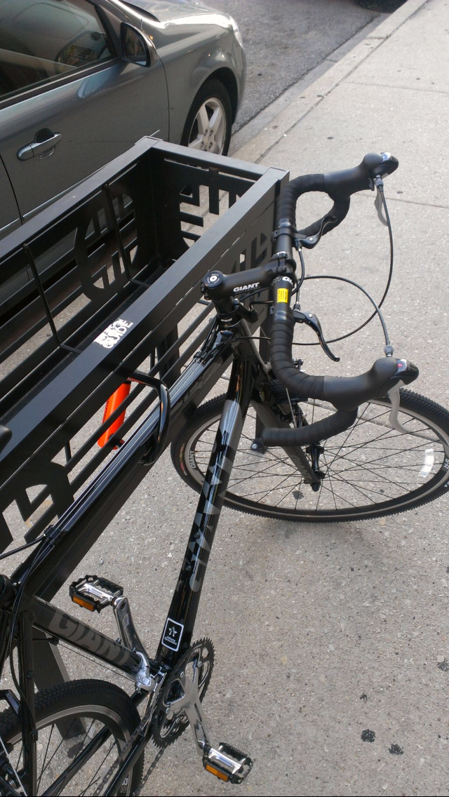Giant TCX