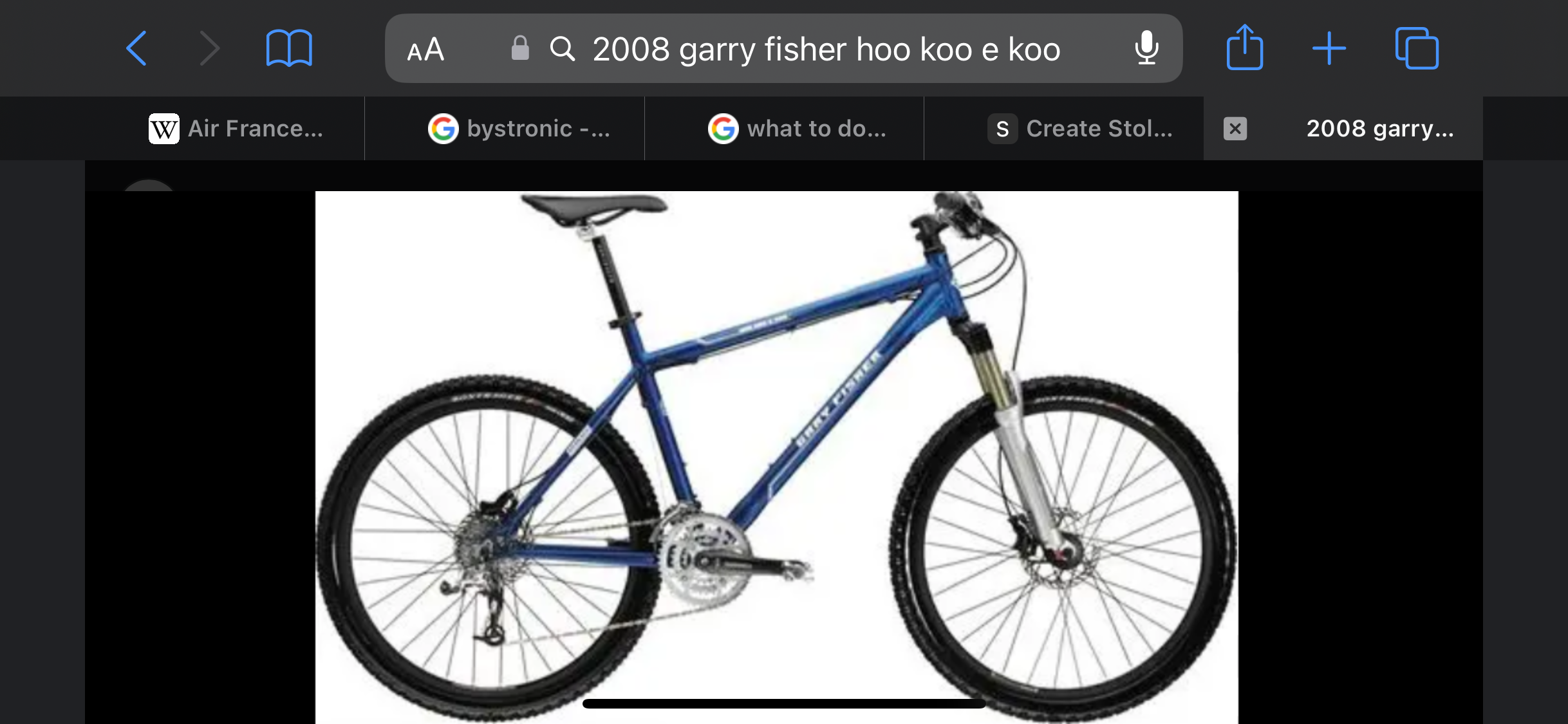 2008 Garry Fisher Hoo Koo E Koo 