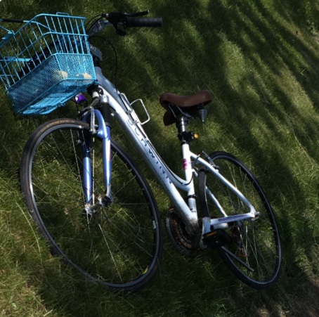 Schwinn Trailway STEP THR