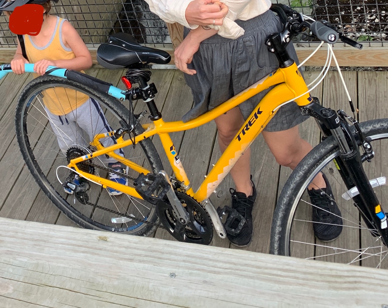 Trek Dual Sport Women Specific