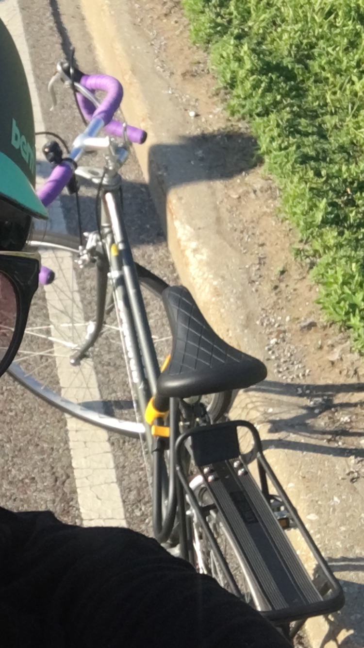 Schwinn Traveler