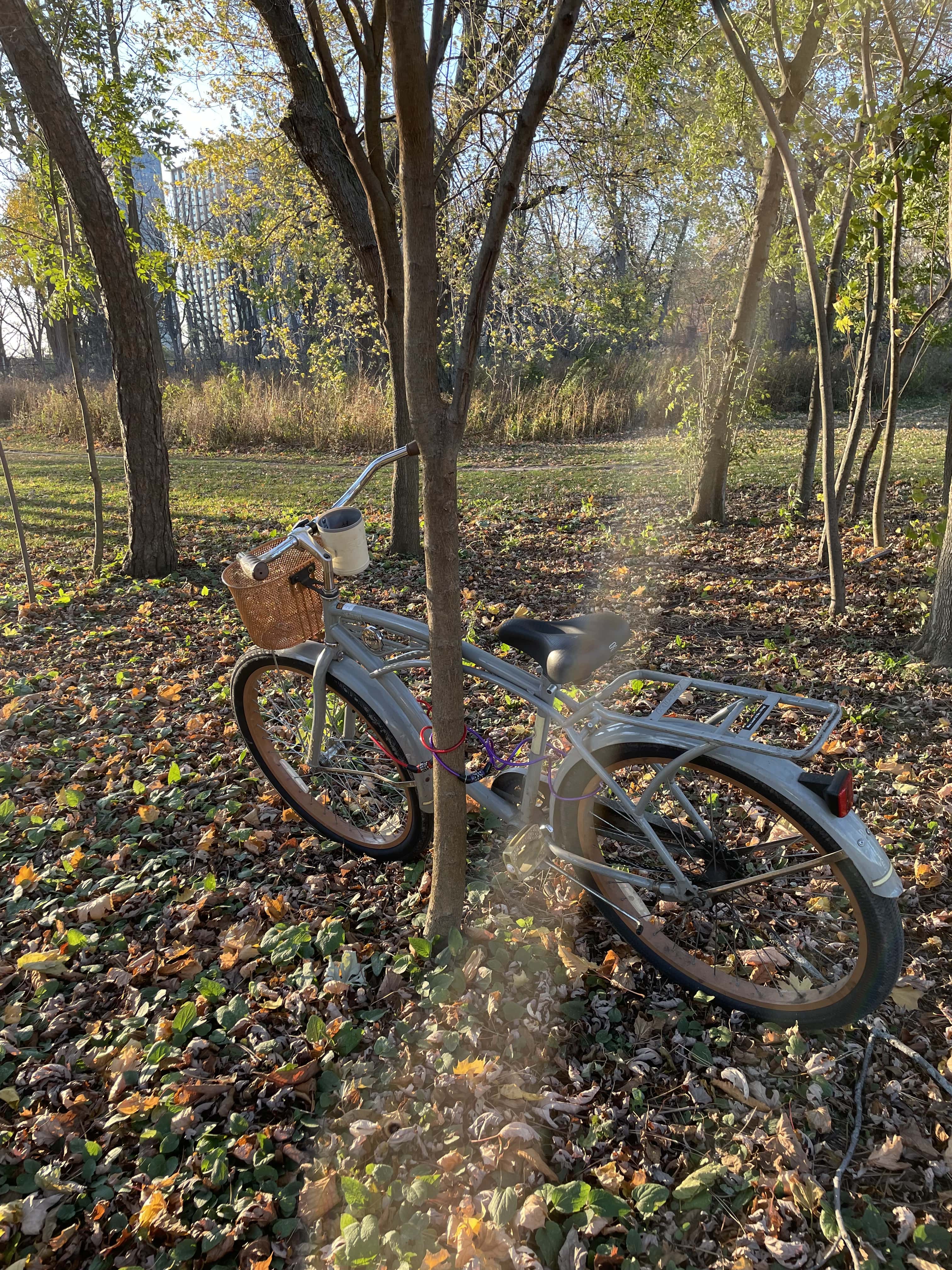 Huffy Cruiser Brown and Gray 26 inch